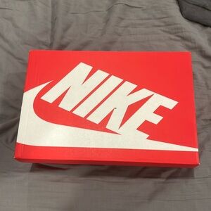 Brand new never worn panda dunks